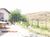 Terreno, 51 hectares - Foto 2