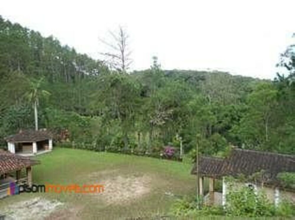 Sítio à venda com 3 quartos - Foto 13