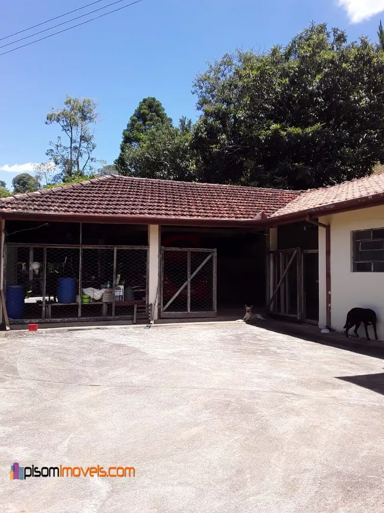 Fazenda à venda com 4 quartos, 36300m² - Foto 2