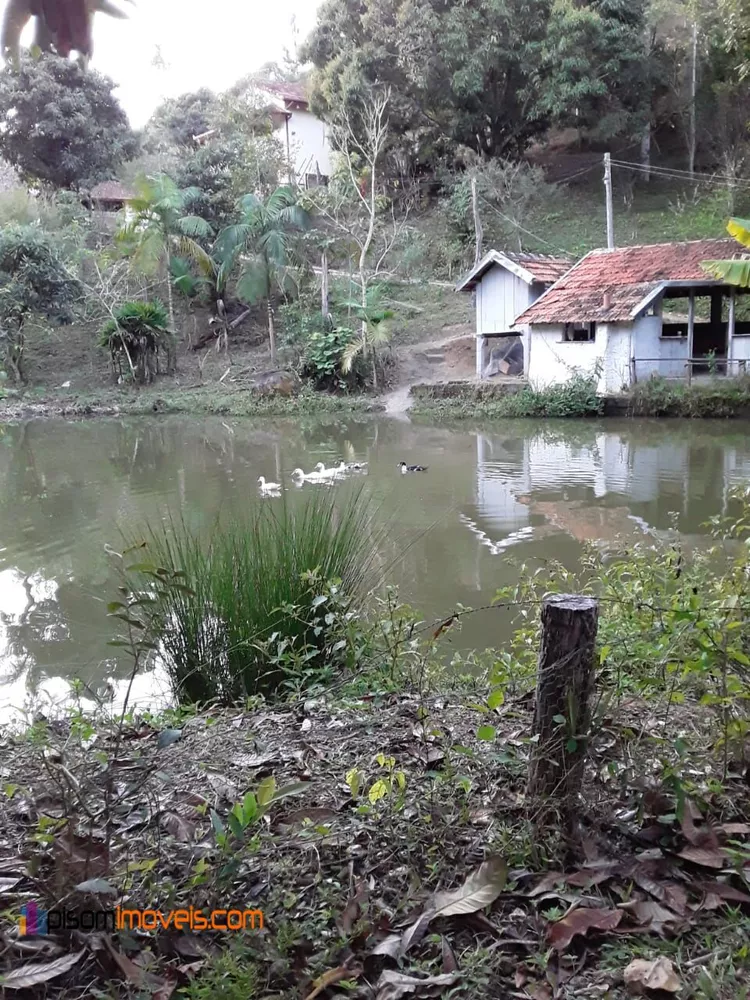 Fazenda à venda com 4 quartos, 36300m² - Foto 1