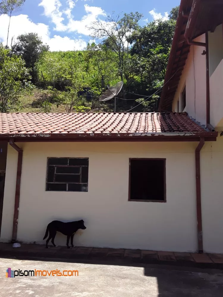 Fazenda à venda com 4 quartos, 36300m² - Foto 3