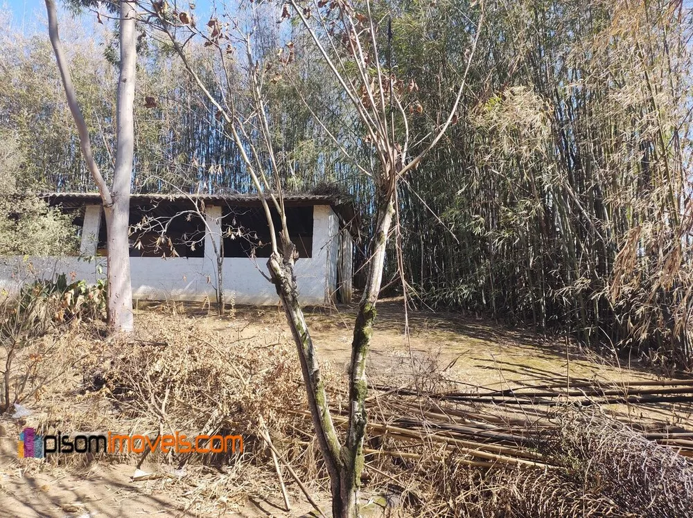 Fazenda à venda com 1 quarto, 12900m² - Foto 1