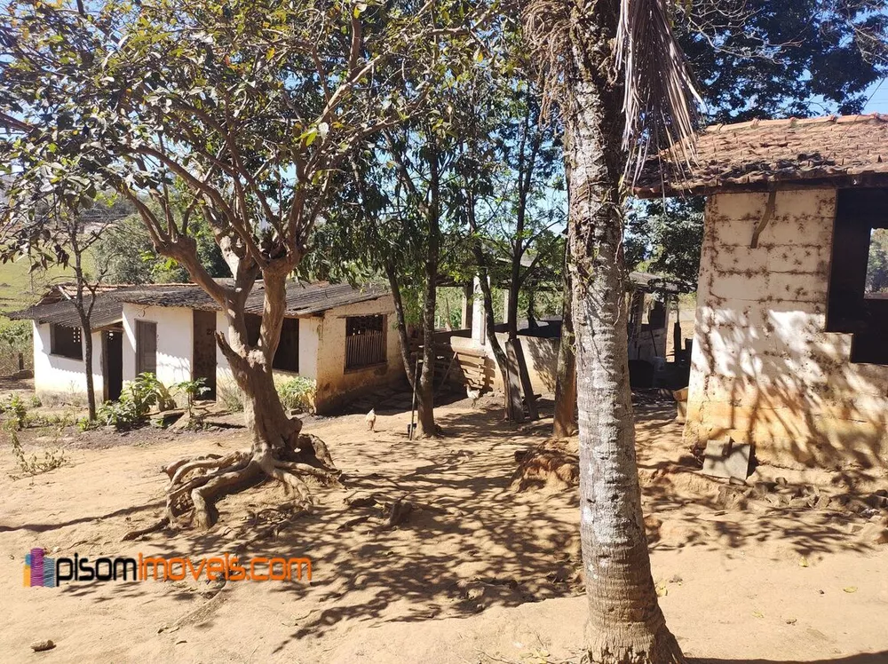 Fazenda à venda com 1 quarto, 12900m² - Foto 11