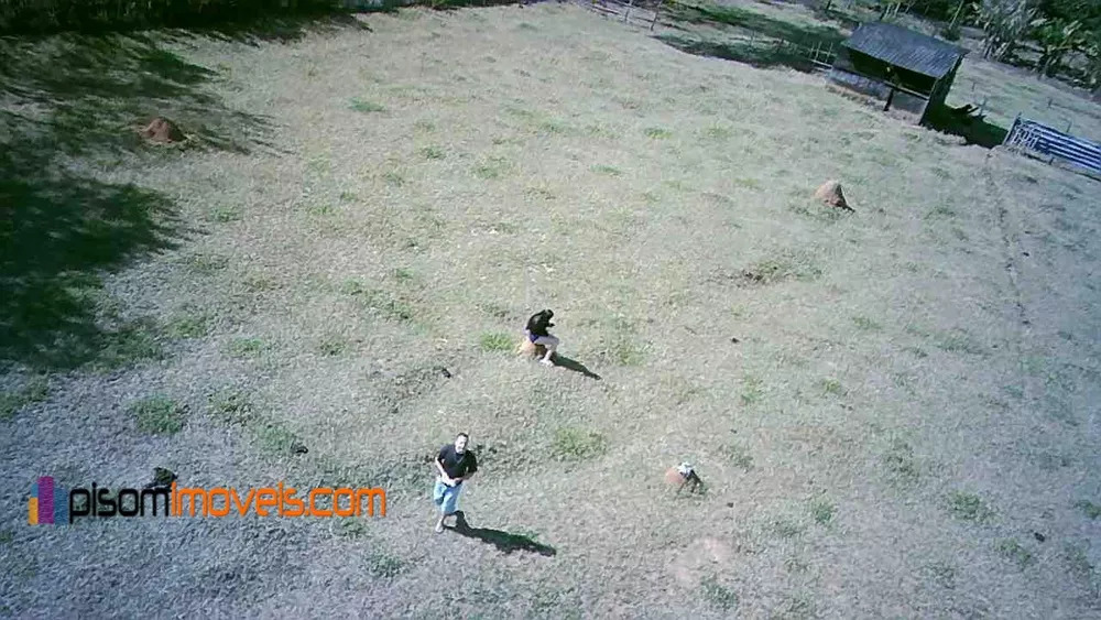 Chácara, 1 hectares - Foto 8