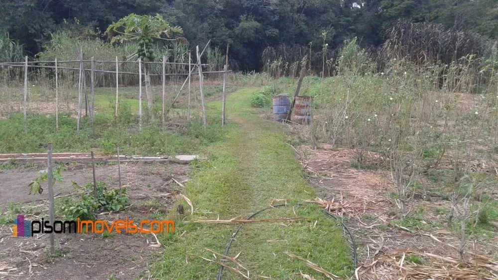 Chácara, 1 hectares - Foto 11