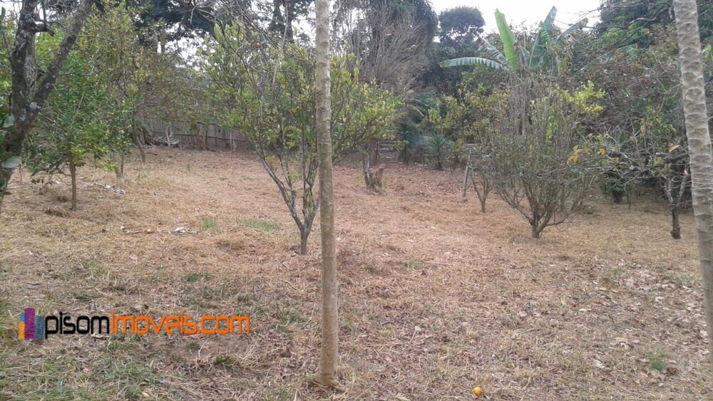 Chácara, 1 hectares - Foto 9