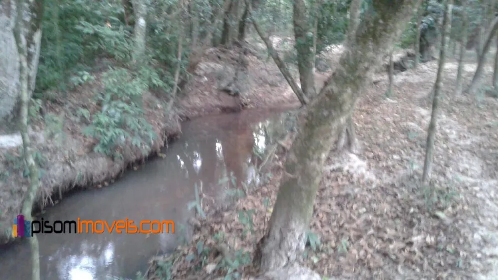 Chácara, 1 hectares - Foto 14