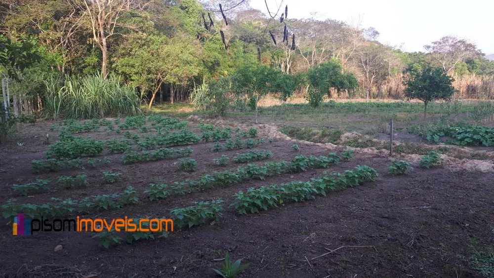 Chácara, 1 hectares - Foto 4