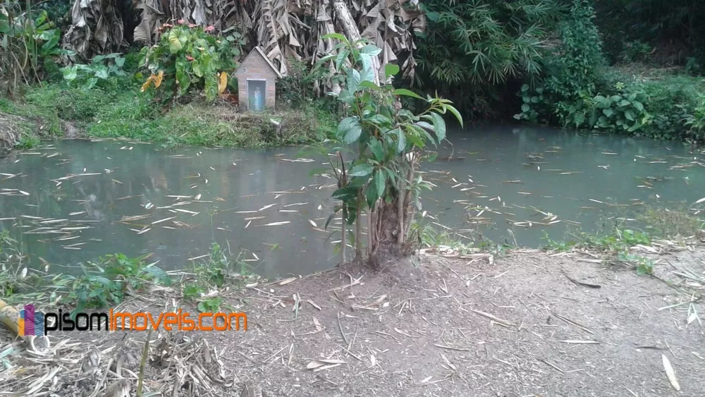 Chácara, 1 hectares - Foto 1