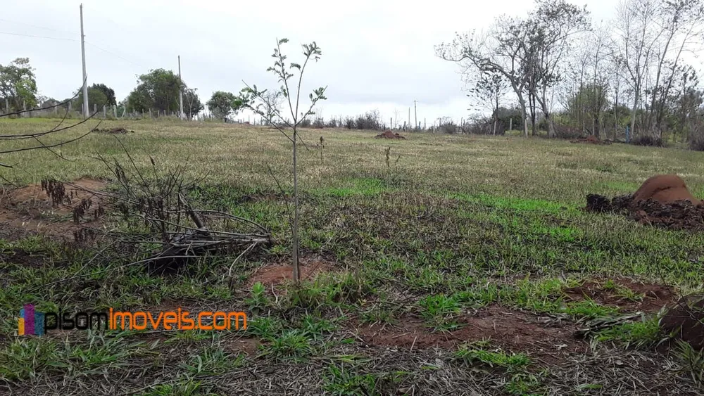 Chácara, 1 hectares - Foto 7