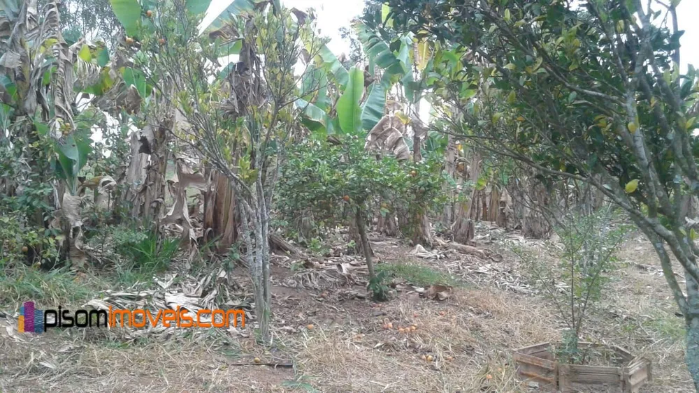 Chácara, 1 hectares - Foto 21