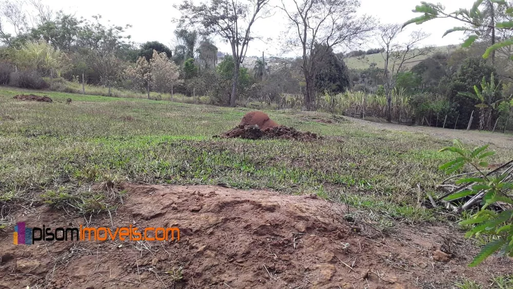 Chácara, 1 hectares - Foto 6