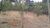 Chácara, 1 hectares - Foto 4
