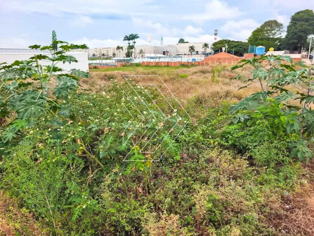 Terreno, 1139 m² - Foto 4