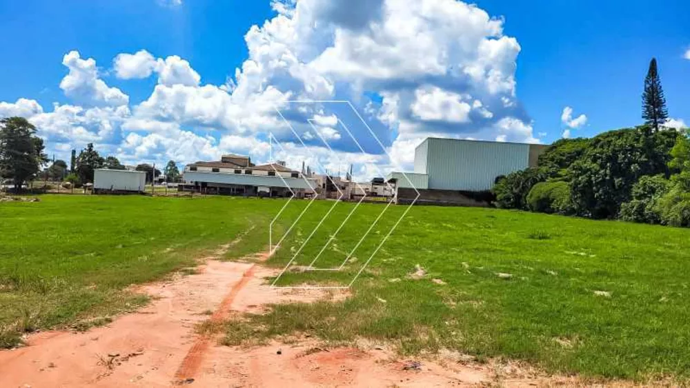 Terreno, 10000 m² - Foto 3