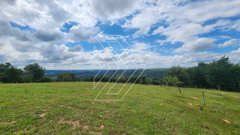 Sítio, 12 hectares - Foto 4