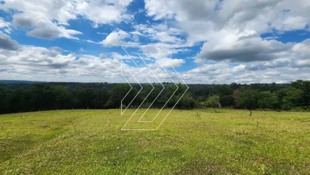 Sítio, 12 hectares - Foto 1