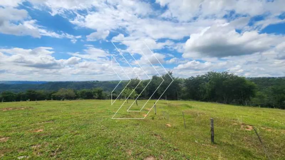 Sítio, 12 hectares - Foto 3