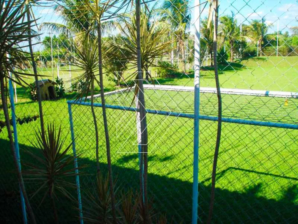 Chácara, 4 quartos - Foto 2