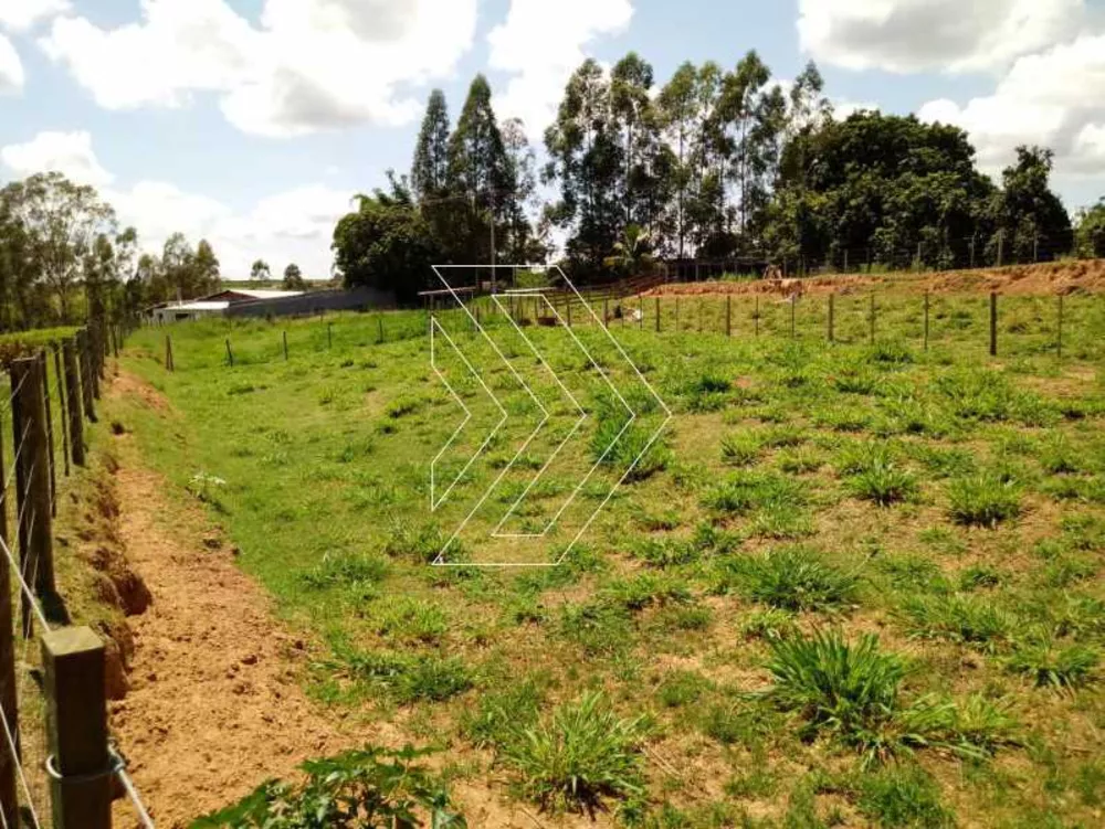 Sítio, 4 quartos, 45000 m² - Foto 3