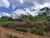 Terreno, 300 m² - Foto 1