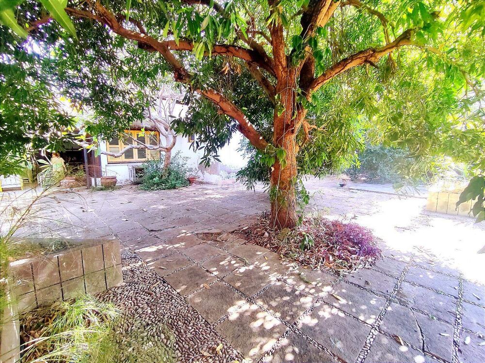 Casa, 4 quartos - Foto 4
