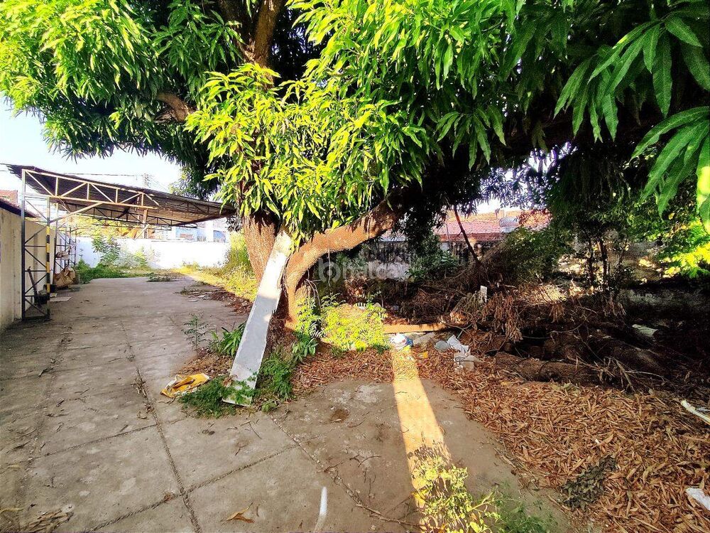 Terreno, 536 m² - Foto 3