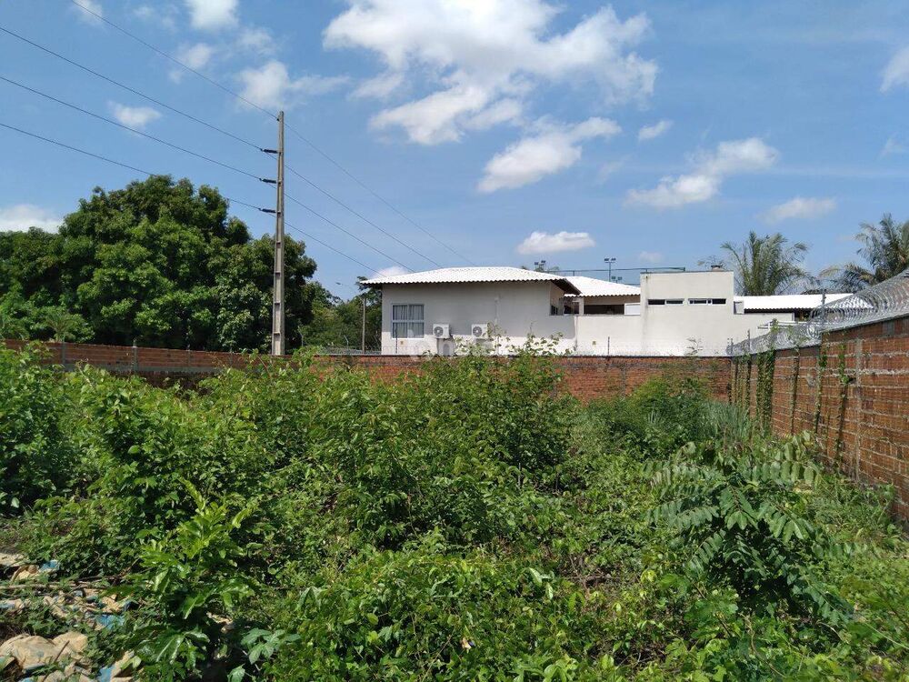 Terreno para alugar, 600m² - Foto 4