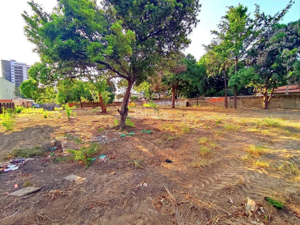 Terreno, 3200 m² - Foto 5