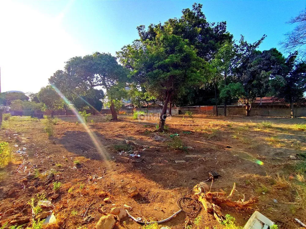 Terreno, 3200 m² - Foto 6