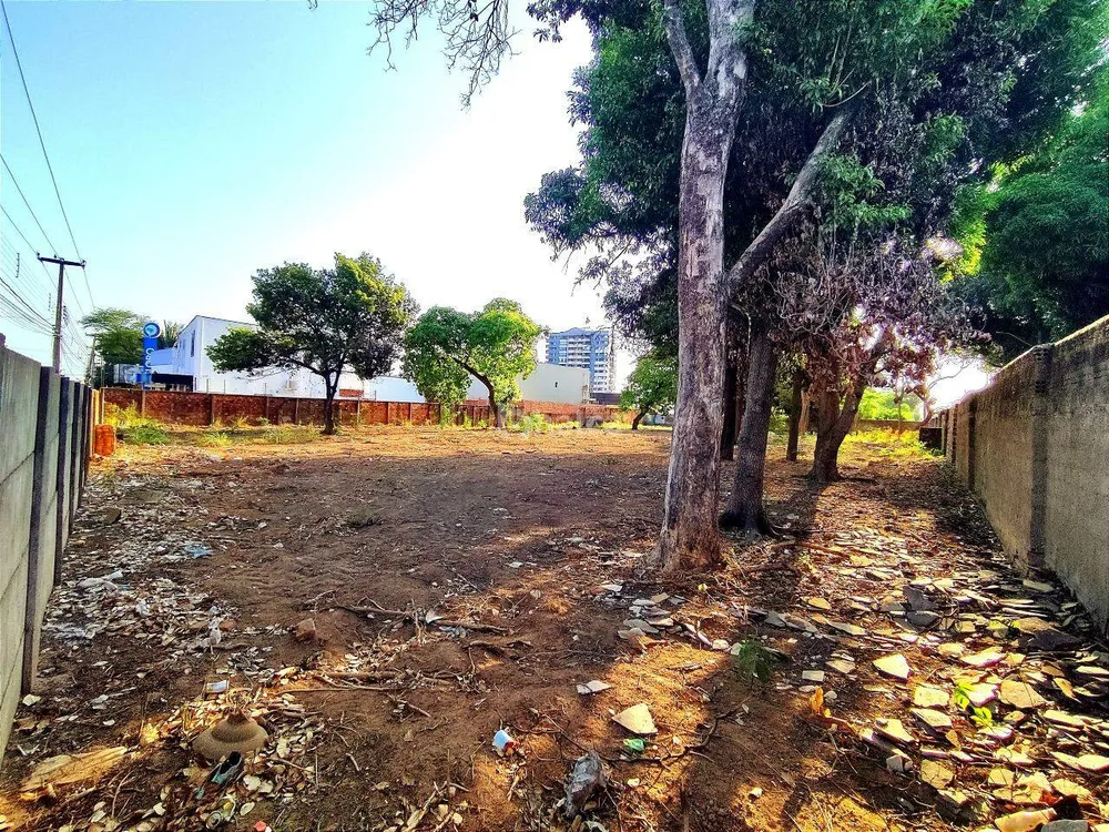 Terreno, 3200 m² - Foto 4
