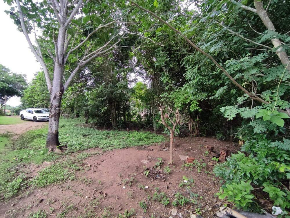 Terreno, 2236 m² - Foto 3