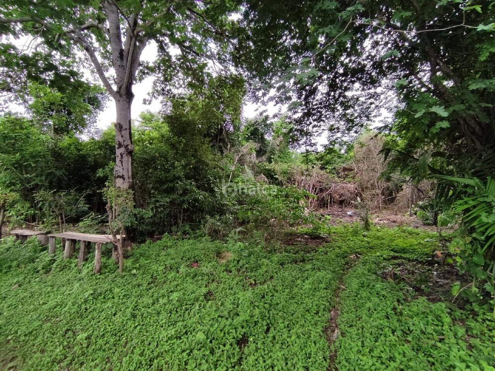 Terreno, 2236 m² - Foto 2