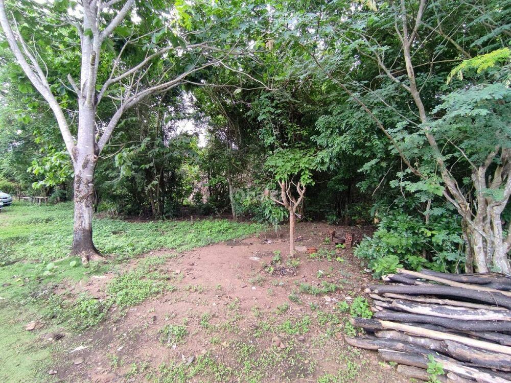 Terreno, 2236 m² - Foto 4