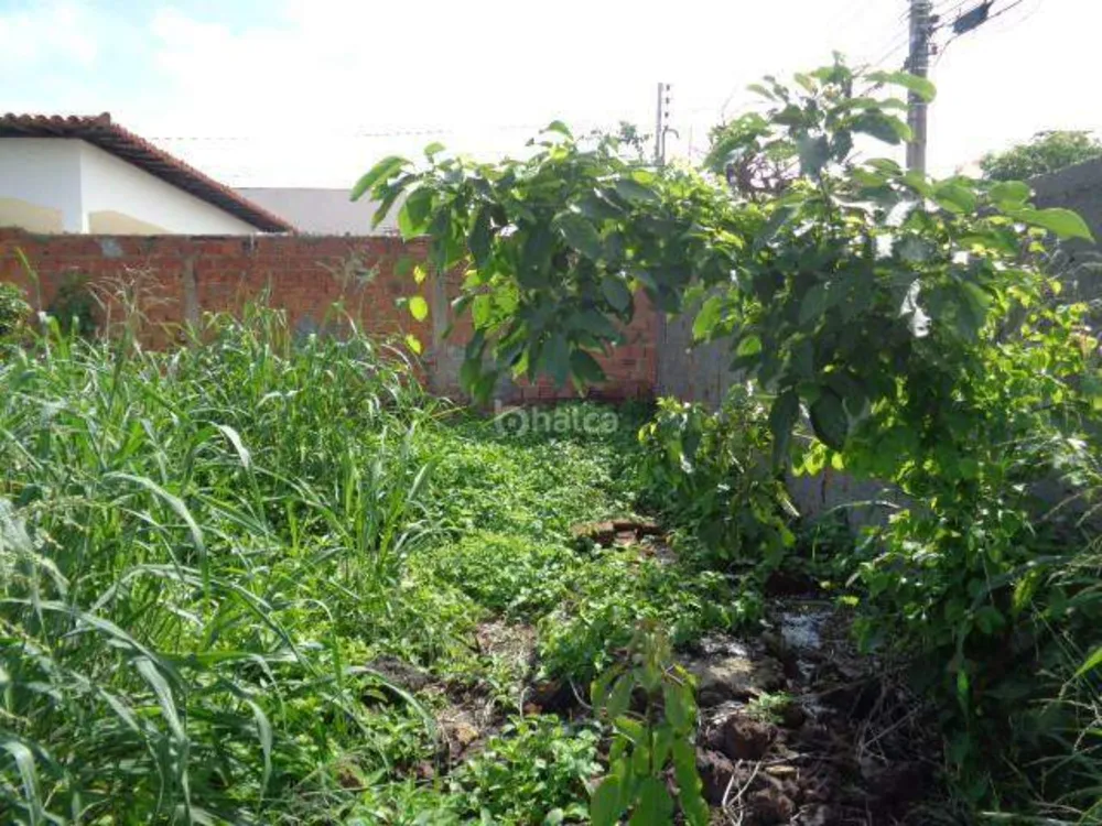 Terreno, 540 m² - Foto 5