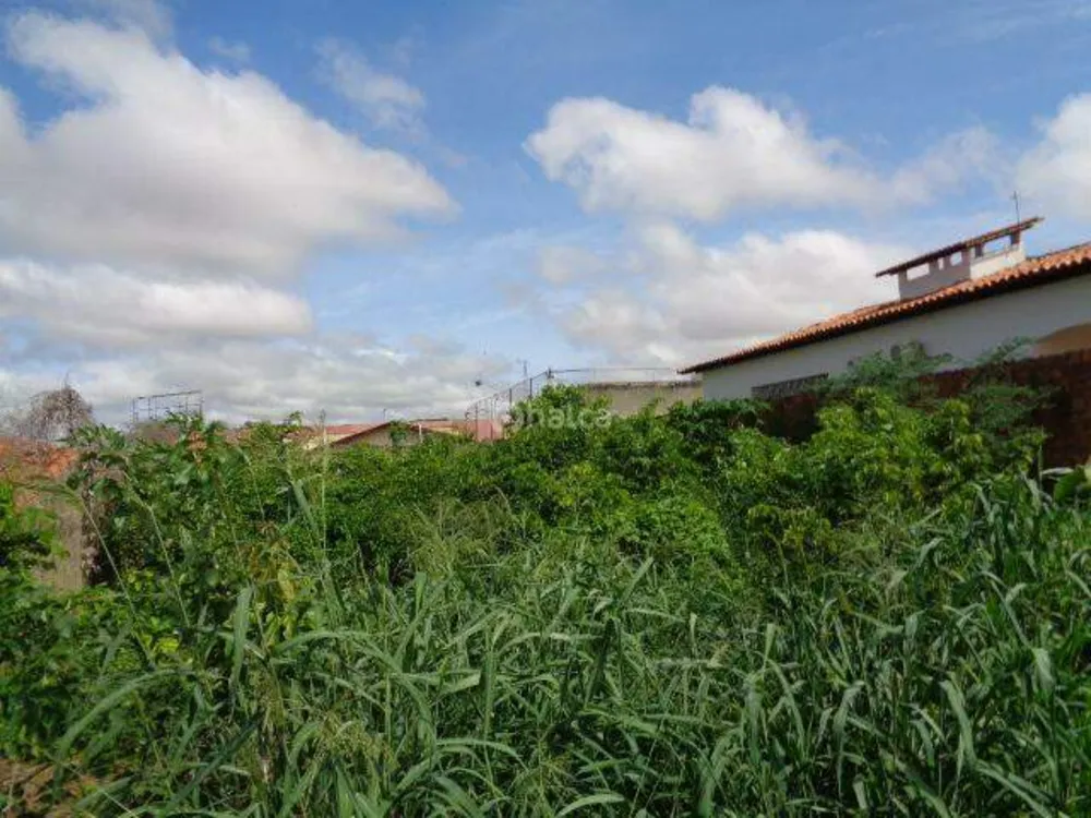 Terreno, 540 m² - Foto 4