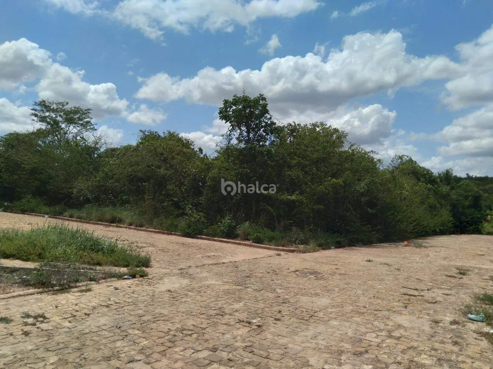 Terreno, 3200 m² - Foto 5