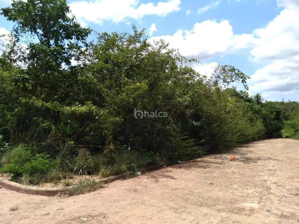 Terreno, 3200 m² - Foto 3