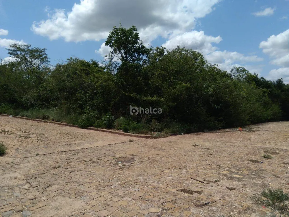 Terreno, 3200 m² - Foto 6
