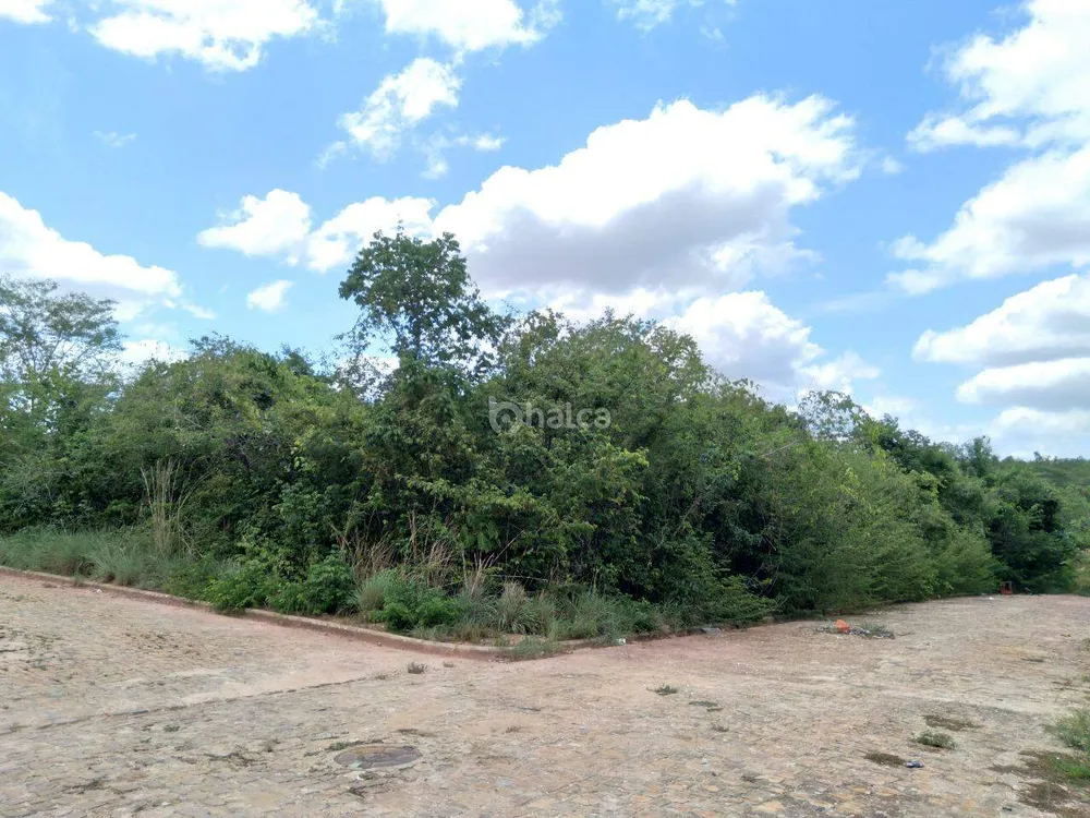 Terreno, 3200 m² - Foto 1