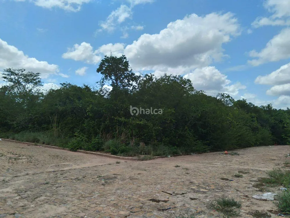Terreno, 3200 m² - Foto 7