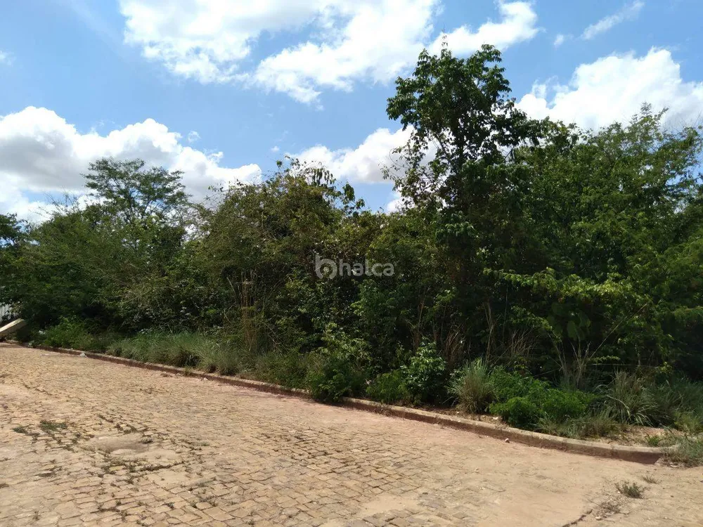 Terreno, 3200 m² - Foto 4