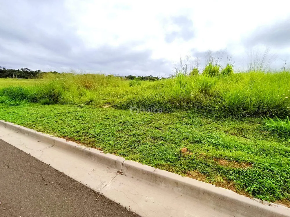Terreno, 243 m² - Foto 4