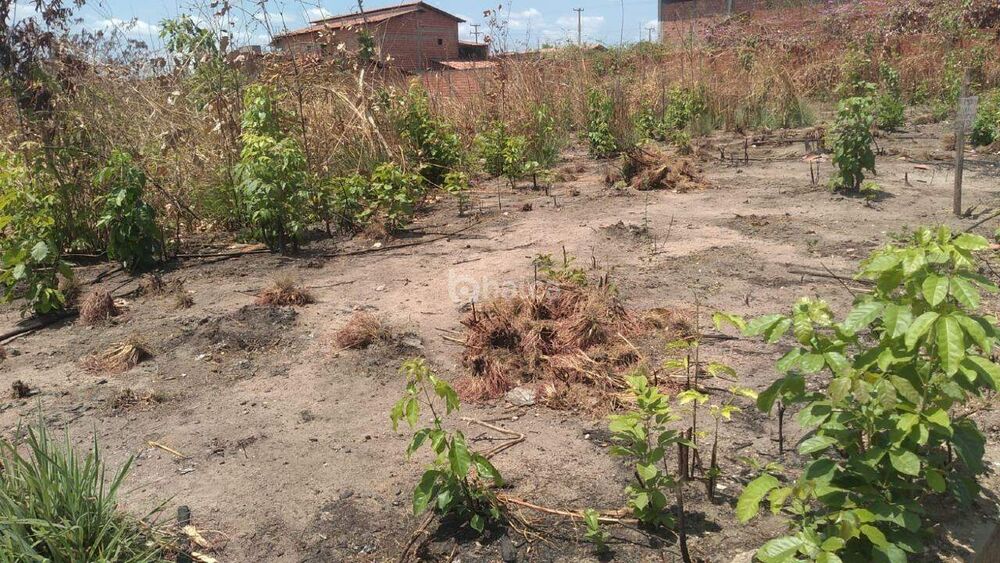 Terreno à venda, 330m² - Foto 1