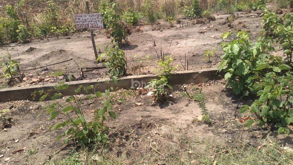 Terreno à venda, 330m² - Foto 2