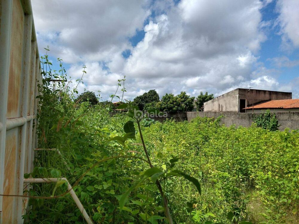 Terreno para alugar, 600m² - Foto 5