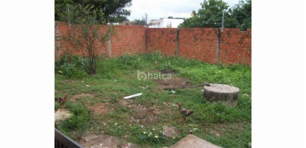 Casa, 2 quartos, 120 m² - Foto 6