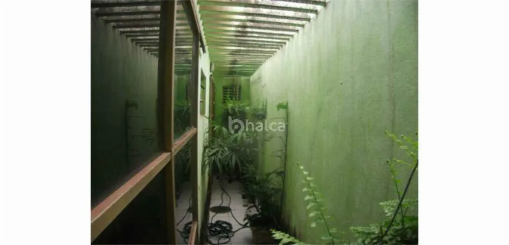 Casa, 5 quartos, 228 m² - Foto 4