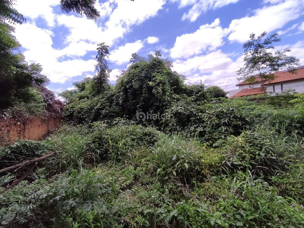 Terreno para alugar, 1235m² - Foto 3