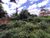 Terreno, 1235 m² - Foto 3